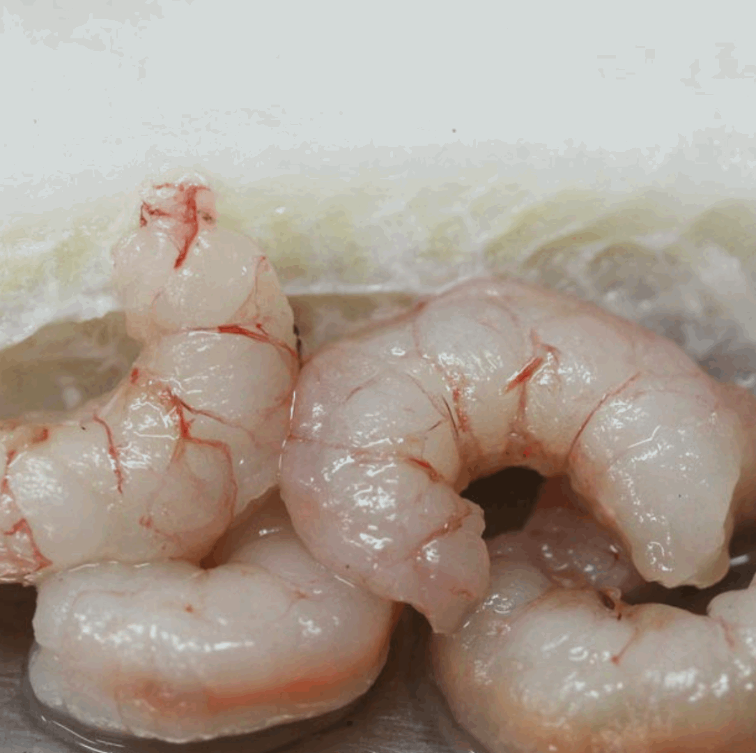 Piquillo Stuffed with Hake and Shrimps by Rosara Rosara   